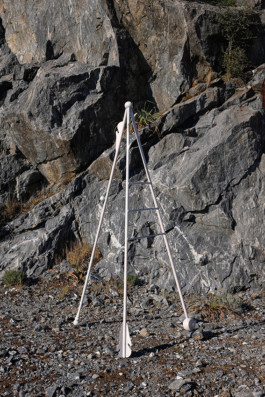 Valentina Cameranesi Sgroi